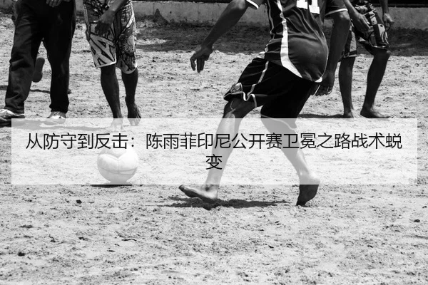 cong-fang-shou-dao-fan-ji-chen-yu-fei-yin-ni-gong-kai-sai-wei-mian-zhi-lu-zhan-shu-tui-bian-2-829.jpg